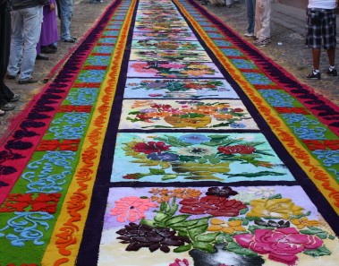 alfombra de aserrin
