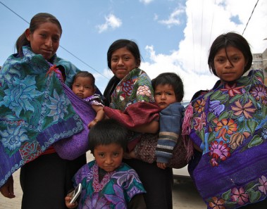 idiomas indigenas de mexico