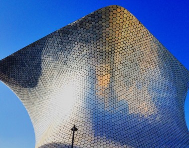 piel exterior museo soumaya