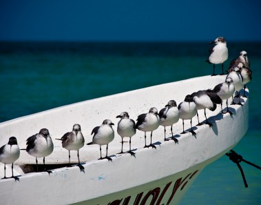 isla holbox quintana roo