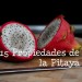 pitaya propiedades