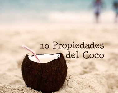 10 Propiedades del Coco