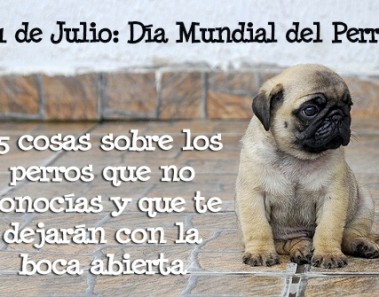 dia mundial del perro