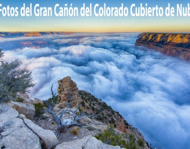 gran canon del colorado arizona