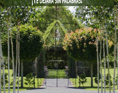 iglesia construida con arboles nueva zelanda