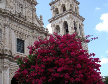 jerez de garcia salinas zacatecas pueblo magico mexico