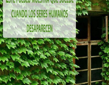 pueblo verde lleno de naturaleza