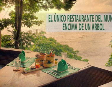 El único restaurante del mundo encima de un árbol