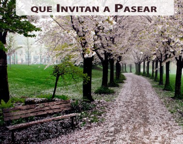 10 Senderos Fascinantes que Invitan a Pasear