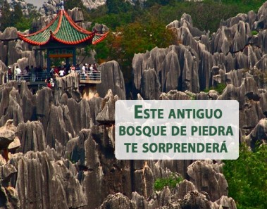 El bosque de piedra de Shilin, China
