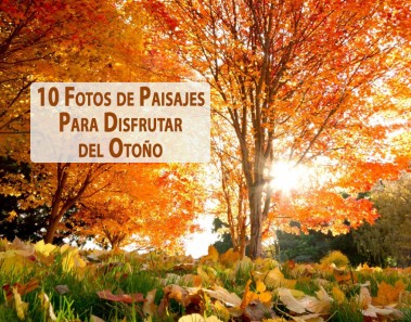 fotos de paisajes de otoño hermosos
