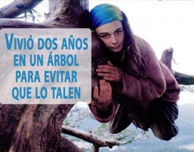Vivió durante dos años en un árbol para evitar que lo talen