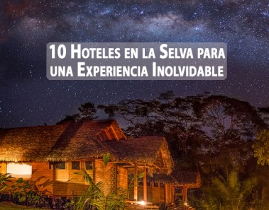 Los 10 mejores hoteles en la selva del mundo