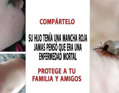 enfermedad de lyme tratamiento
