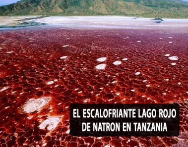 El escalofriante Lago rojo de Natron en Tanzania