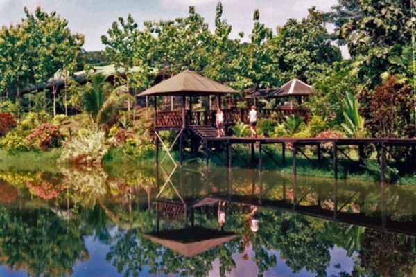 Island Jungle Resort, Nepal