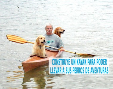 Construye un kayak para poder llevar a sus perros de aventuras