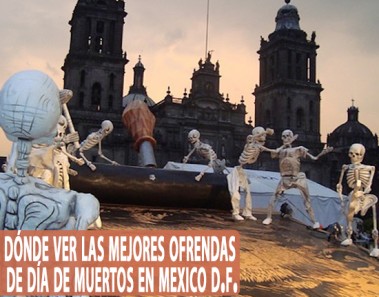 Dónde ver las mejores ofrendas de Día de Muertos en México DF