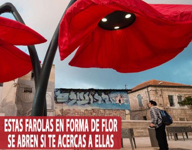 flores farola jerusalen israel