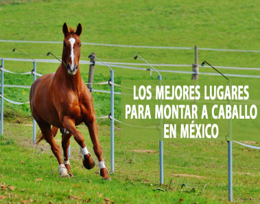 Los mejores lugares para montar a caballo en México