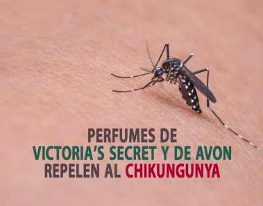 Perfumes de Victoria´s Secret y de Avon repelen al Chikungunya