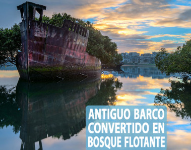 Antiguo barco convertido en bosque flotante