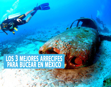 Los 3 mejores arrecifes para bucear en México