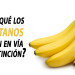 ¿Por qué los plátanos están en vía de extinción?