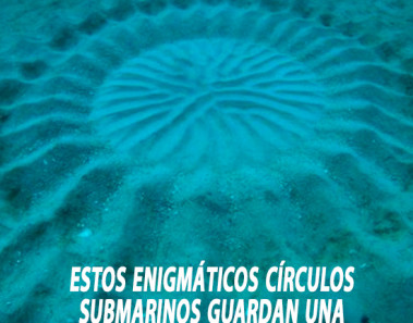 Estos enigmáticos círculos submarinos guardan una hermosa historia