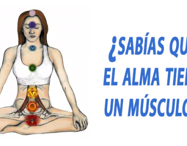 musculo del alma psoas ejercicios