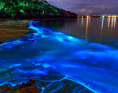 La Laguna de Manialtepec Fluorescente de Oaxaca, México
