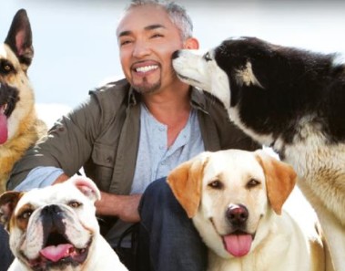 cesar millan