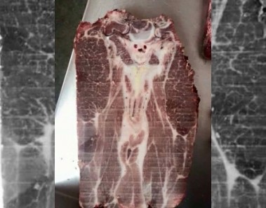 figura extrana trozo de carne