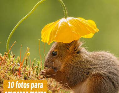 10 fotos para empezar marzo de buen humor