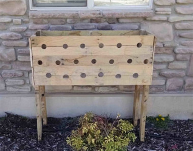 19 hoyos caja de madera