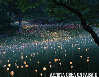 Artista crea un paisaje de cuento de hadas con 50.000 luces