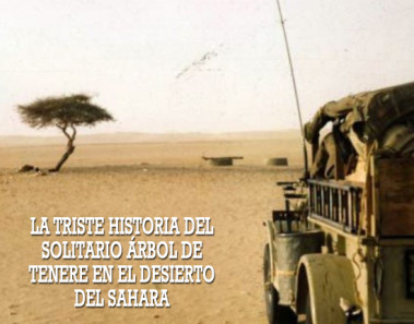 La triste historia del solitario árbol de Tenere en el desierto del Sahara