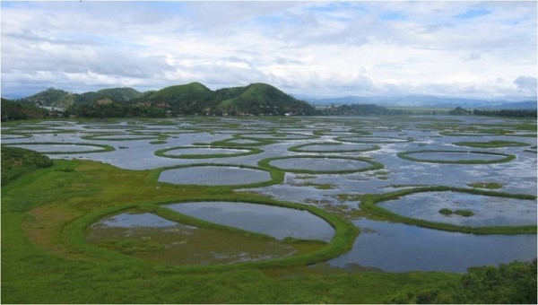 islas flotantes del lago loktak india
