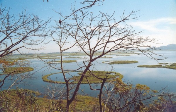 islas flotantes del lago loktak india