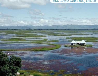 Las islas flotantes del Lago Loktak, India