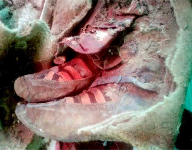 momia tenis adidas