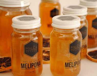 Miel melipona Mexico