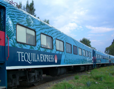 tren tequila express agave