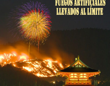 El festival de fuegos artificiales de Wakakusa Yamayaki en Japón