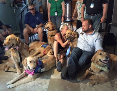 Perros amorosos brindan consuelo a las víctimas de la masacre de Orlando