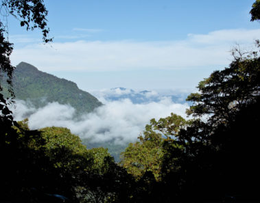 Reserva de la Biósfera El Triunfo en Chiapas
