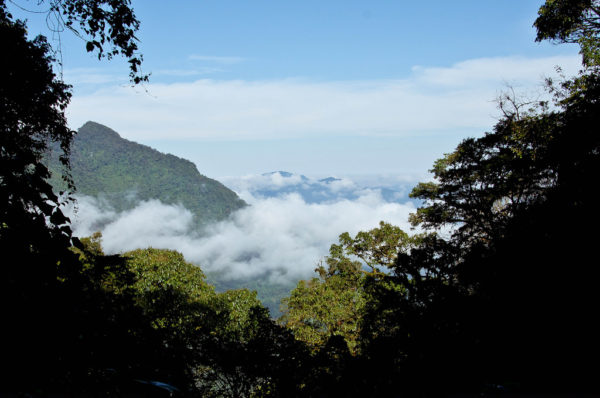 Reserva de la Biósfera El Triunfo en Chiapas