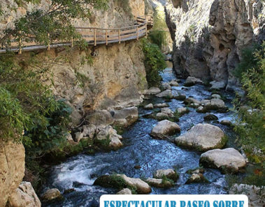 Espectacular paseo que transcurre sobre una pasarela