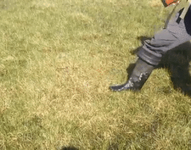 Extrañas burbujas aparecen en el suelo de la tundra siberiana
