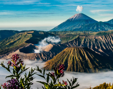 Monte Bromo: El Volcán Hambriento y uno de los más activos del mundo